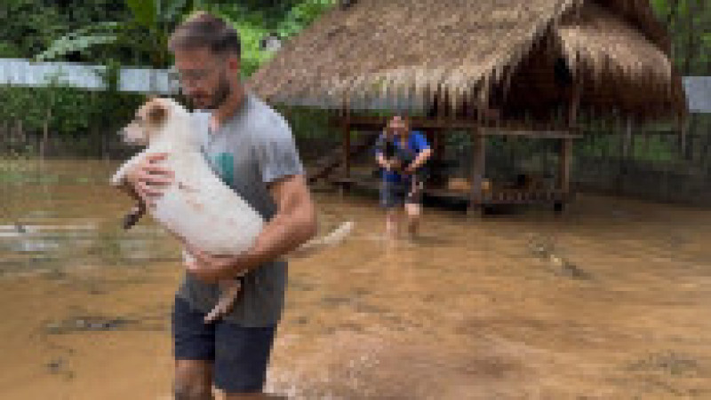 Animale evacuate din „Elephant Nature Park”, Thailanda, din cauza inundațiilor.
FOTO: Facebook/ Elephant Nature Park | Poza 4 din 5