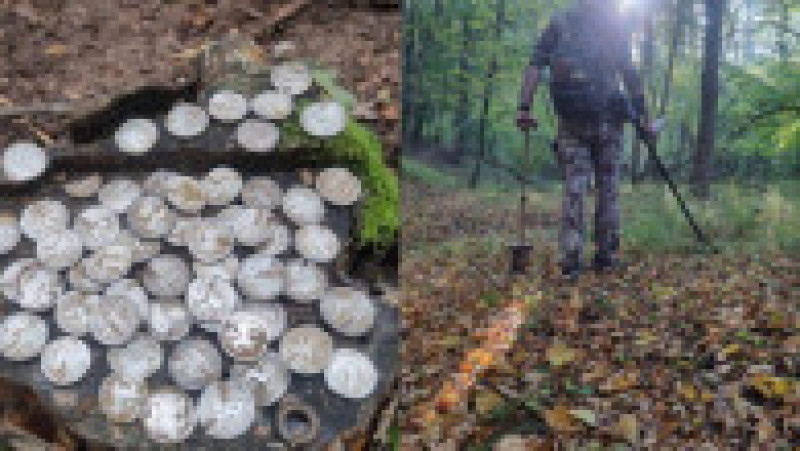 Comoară istorică descoperită într-o pădure din Botoșani: 60 de monede din argint, vechi de aproximativ 2.400 de ani. Sursa foto: Monitorul de Botoșani | Poza 4 din 4