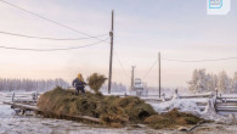 Ruinele unui fost lagăr de muncă forțată din extremul est al Rusiei. Sursa: Profimedia | Poza 15 din 17