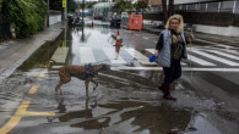 Barcelona, Spania. Foto: Profimedia Images | Poza 4 din 4