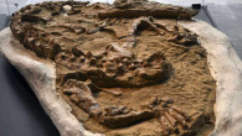 Foto: Profimedia Images | Poza 3 din 5