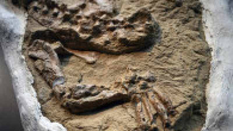 Foto: Profimedia Images | Poza 1 din 5