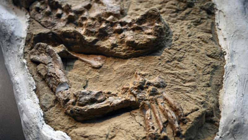 Foto: Profimedia Images 