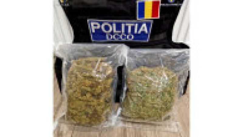 big_WhatsApp Image 2024-11-20 at 09.46.27 | Poza 3 din 8