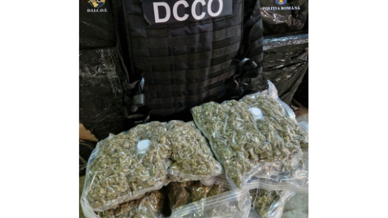 Sute de kilograme de droguri, comprimate şi alte substanţe psihoactive confiscate în cadrul operațiunii „BLIZZARD