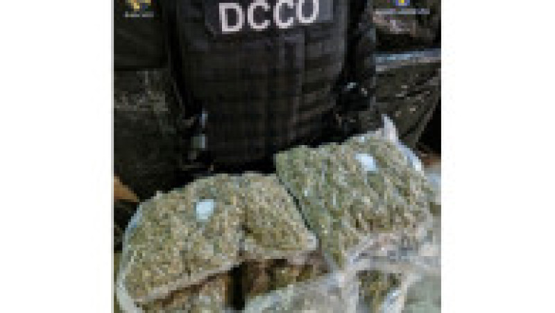 Sute de kilograme de droguri, comprimate şi alte substanţe psihoactive confiscate în cadrul operațiunii „BLIZZARD". Foto: Poliția Română | Poza 1 din 8