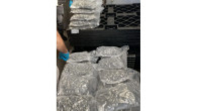 Sute de kilograme de droguri, comprimate şi alte substanţe psihoactive confiscate în cadrul operațiunii „BLIZZARD". Foto: Poliția Română | Poza 2 din 8