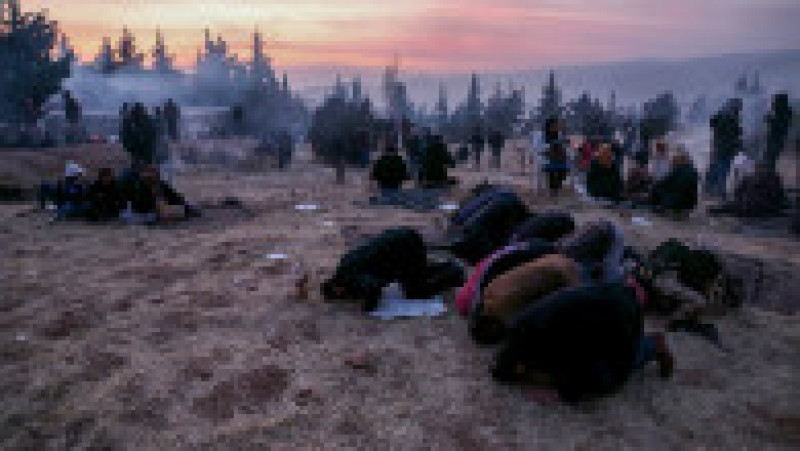 Foto: Profimedia | Poza 6 din 12