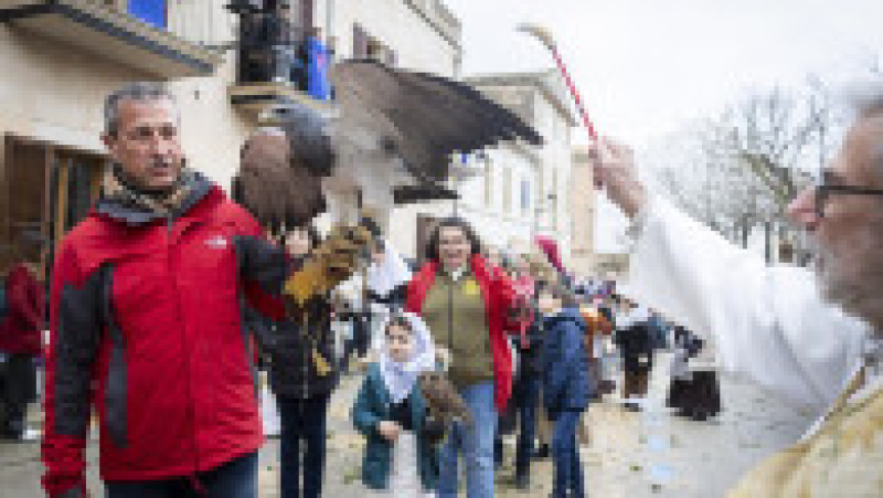 Ritualul Sfântului Antonie Starețul: Animalele de companie, binecuvântate cu apă sfințită. Foto: Profimedia | Poza 11 din 13