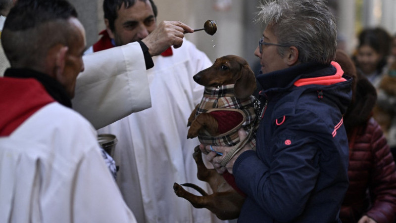 Ritualul Sfântului Antonie Starețul: Animalele de companie, binecuvântate cu apă sfințită. Foto: Profimedia
