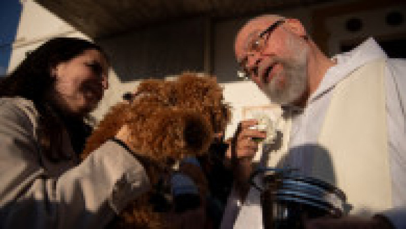 Ritualul Sfântului Antonie Starețul: Animalele de companie, binecuvântate cu apă sfințită. Foto: Profimedia | Poza 13 din 13