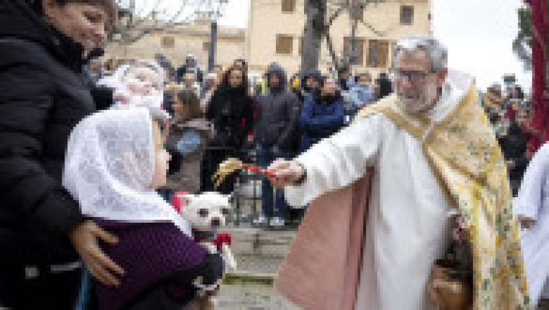 Ritualul Sfântului Antonie Starețul: Animalele de companie, binecuvântate cu apă sfințită. Foto: Profimedia | Poza 9 din 13