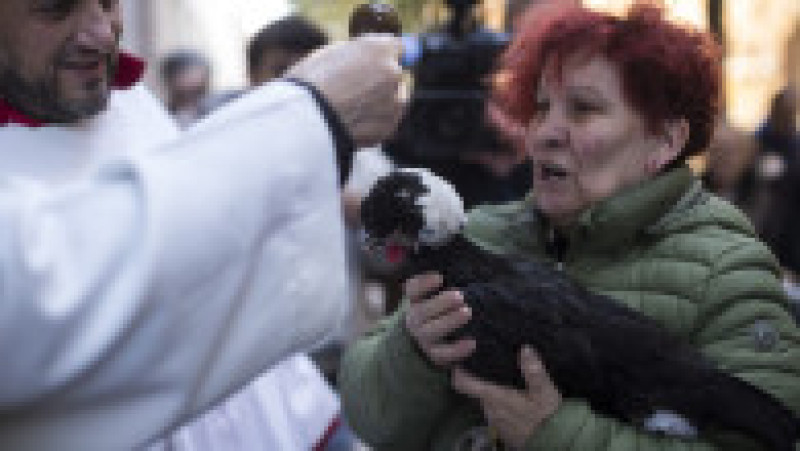 Ritualul Sfântului Antonie Starețul: Animalele de companie, binecuvântate cu apă sfințită. Foto: Profimedia | Poza 8 din 13