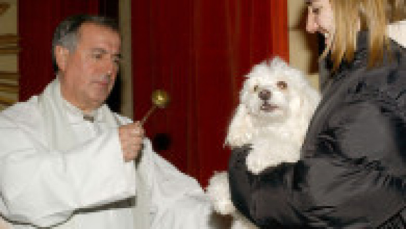 Animale de companie binecuvântate cu apă sfințită. Foto: Carlos Alvarez/Getty Images | Poza 7 din 8