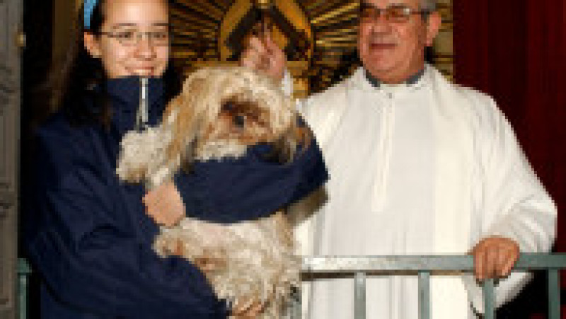 Animale de companie binecuvântate cu apă sfințită. Foto: Carlos Alvarez/Getty Images | Poza 8 din 8