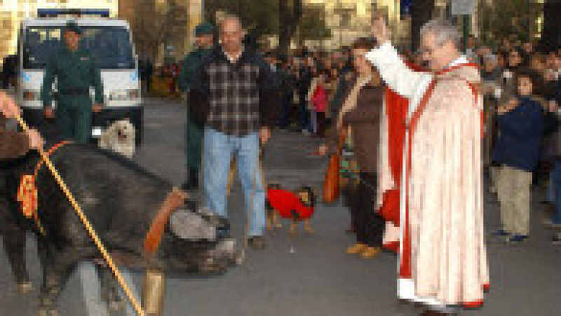Animale de companie binecuvântate cu apă sfințită. Foto: Carlos Alvarez/Getty Images | Poza 4 din 8
