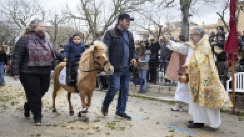 Ritualul Sfântului Antonie Starețul: Animalele de companie, binecuvântate cu apă sfințită. Foto: Profimedia | Poza 3 din 13