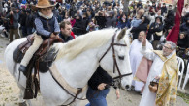 Ritualul Sfântului Antonie Starețul: Animalele de companie, binecuvântate cu apă sfințită. Foto: Profimedia | Poza 4 din 13