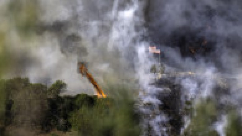 Foto: Profimedia | Poza 11 din 16