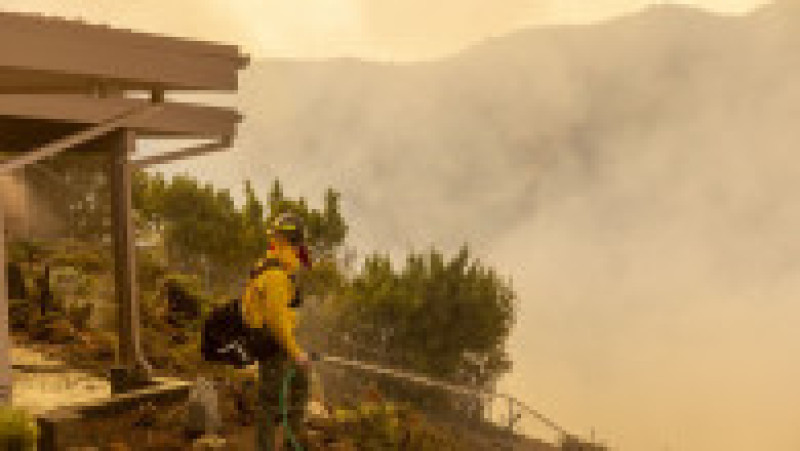 Foto: Profimedia | Poza 10 din 16