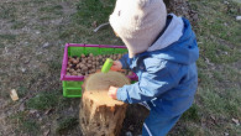 Georgiana și Sorin s-au mutat din București la sat, în Ialomița. Sursa foto: arhivă personală | Poza 11 din 34