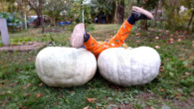 Georgiana și Sorin s-au mutat din București la sat, în Ialomița. Sursa foto: arhivă personală | Poza 6 din 34