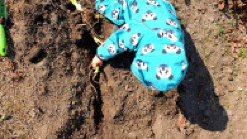 Georgiana și Sorin s-au mutat din București la sat, în Ialomița. Sursa foto: arhivă personală | Poza 14 din 34