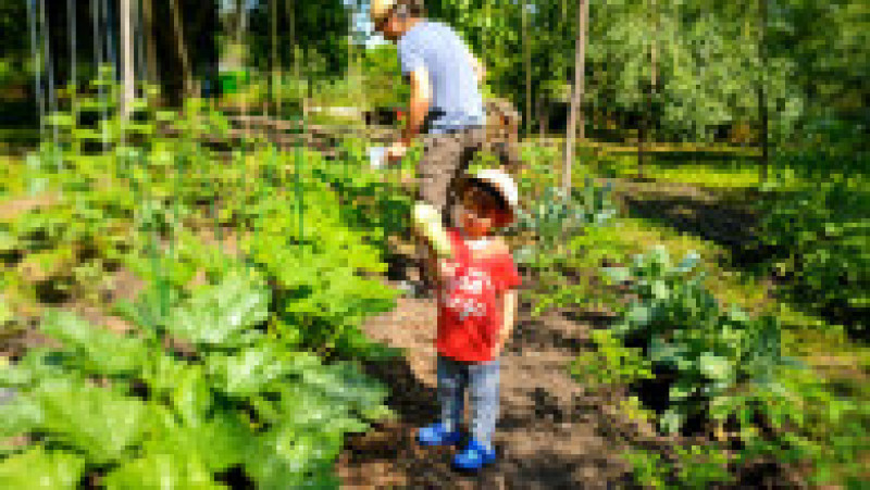 Georgiana și Sorin s-au mutat din București la sat, în Ialomița. Sursa foto: arhivă personală | Poza 30 din 34