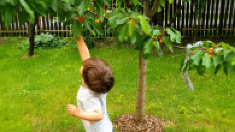 Georgiana și Sorin s-au mutat din București la sat, în Ialomița. Sursa foto: arhivă personală | Poza 29 din 34