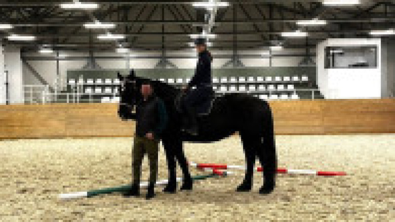 Roma, un exemplar din rasa Percheron American, e vedeta bazei hipice a USV Iași. Sursa foto: Facebook/ USV „Ion Ionescu de la Brad” Iaşi | Poza 1 din 4