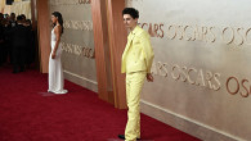 Timothee Chalamet. Foto: Profimedia Images | Poza 4 din 19