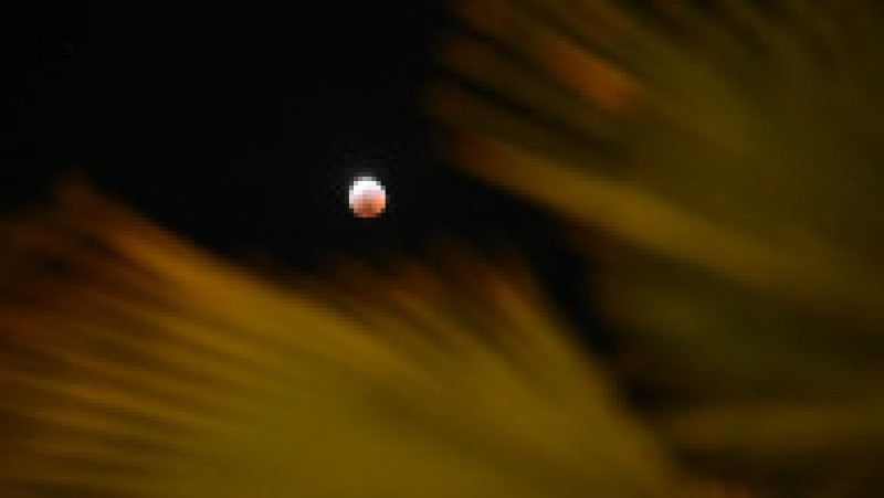 Lună roşie cu ocazia unei eclipse totale. Foto: Profimedia | Poza 3 din 19