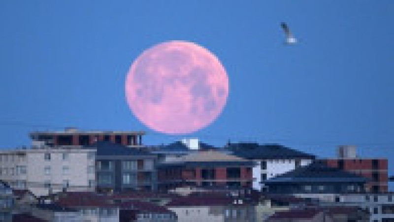 Lună roşie cu ocazia unei eclipse totale. Foto: Profimedia | Poza 10 din 19