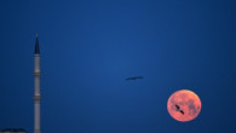Lună roşie cu ocazia unei eclipse totale. Foto: Profimedia | Poza 6 din 19