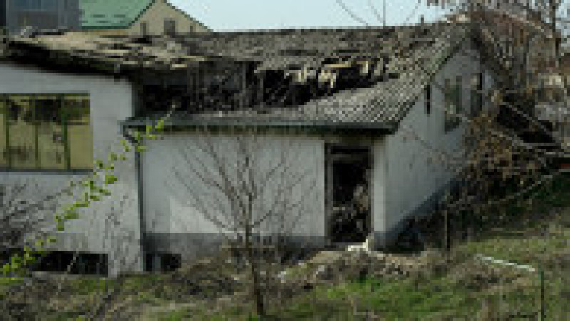 Foto: Profimedia | Poza 2 din 7