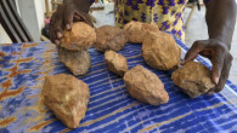 Arheologul François Guede Yiode arată pietrele folosite de Homo sapiens acum 150.000 de ani, la locuința sa de lângă Abidjan, pe 13 martie 2025. Foto. Profimedia | Poza 1 din 3
