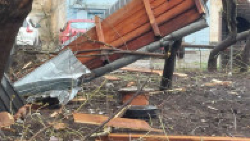 poza copaci cazuti sursa isu teleorman 130325 (7) | Poza 6 din 7