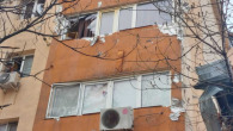 poza copaci cazuti sursa isu teleorman 130325 (8) | Poza 2 din 7