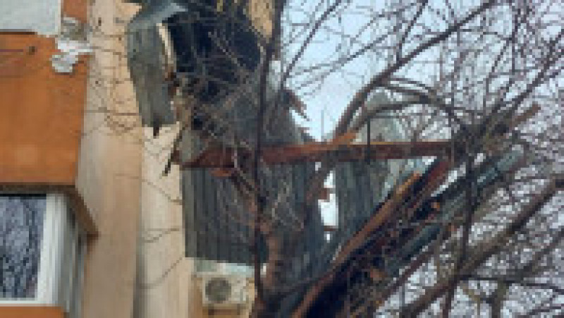 poza copaci cazuti sursa isu teleorman 130325 (9) | Poza 7 din 7