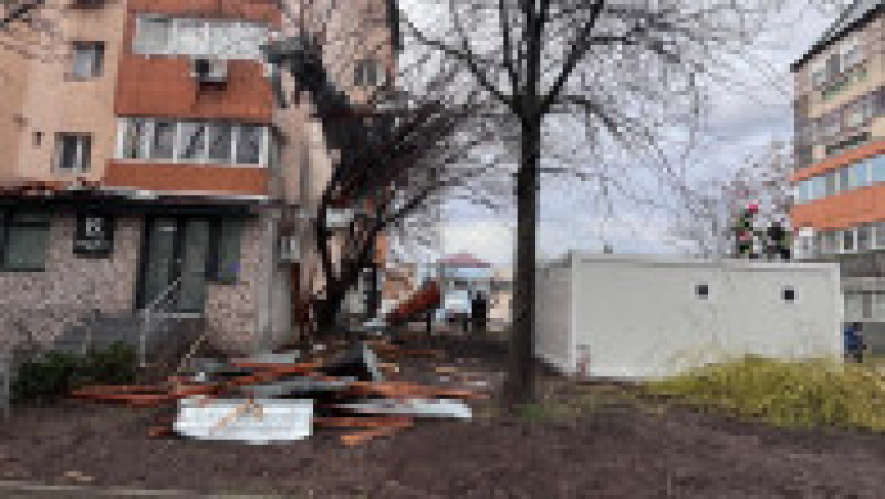 poza copaci cazuti sursa isu teleorman 130325 (2) | Poza 3 din 7