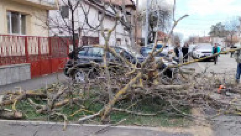 raw furtuna timisoara fara sursa 130325 _1__00000 | Poza 1 din 2