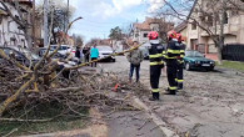 raw furtuna timisoara fara sursa 130325 _1__00247 | Poza 2 din 2