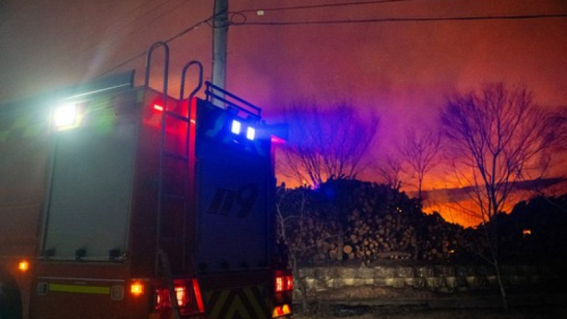 Incendii de vegetaţie în Coreea de Sud. Foto: Profimedia