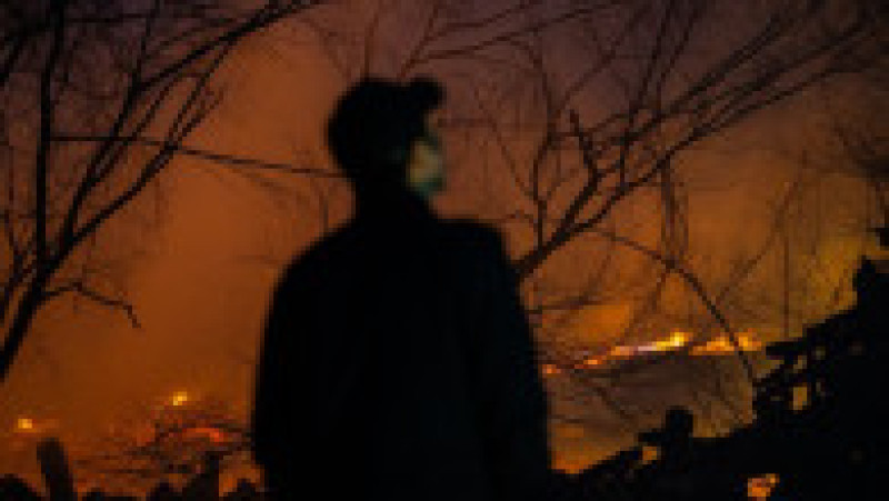 Incendii de vegetaţie în Coreea de Sud. Foto: Profimedia | Poza 2 din 23