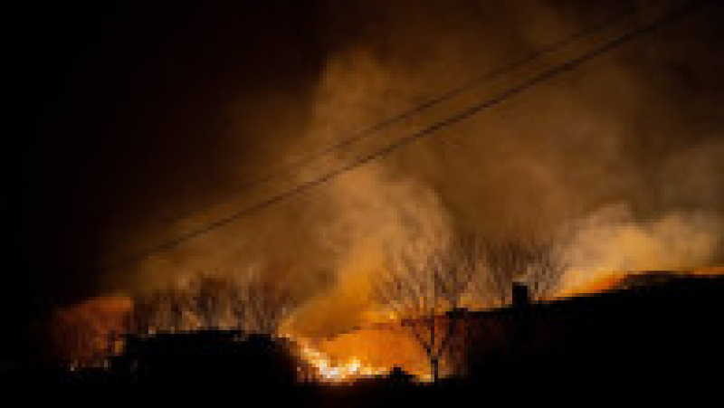 Incendii de vegetaţie în Coreea de Sud. Foto: Profimedia | Poza 3 din 23