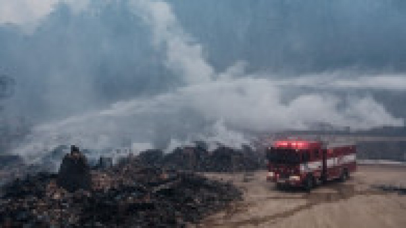 Incendii de vegetaţie în Coreea de Sud. Foto: Profimedia | Poza 11 din 23