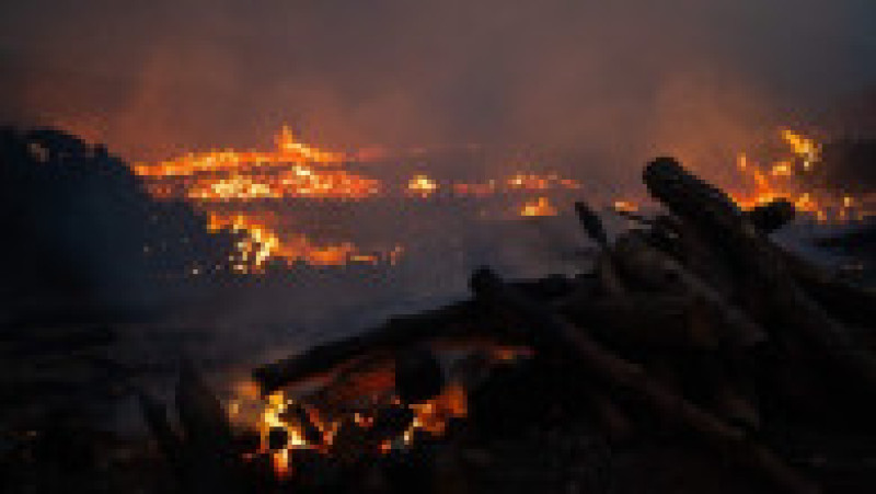 Incendii de vegetaţie în Coreea de Sud. Foto: Profimedia | Poza 9 din 23