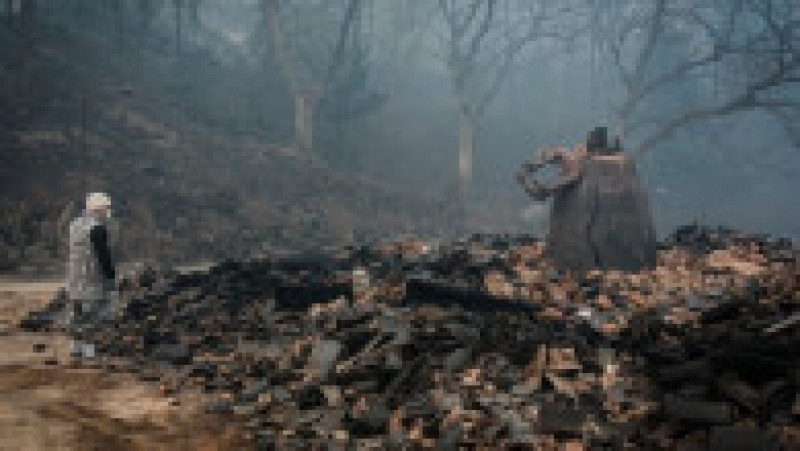 Incendii de vegetaţie în Coreea de Sud. Foto: Profimedia | Poza 10 din 23