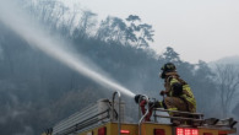 Incendii de vegetaţie în Coreea de Sud. Foto: Profimedia | Poza 12 din 23