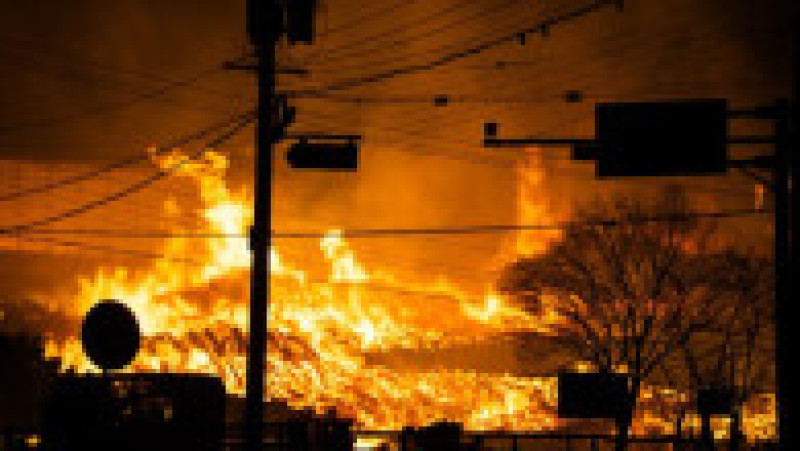 Incendii de vegetaţie în Coreea de Sud. Foto: Profimedia | Poza 7 din 23